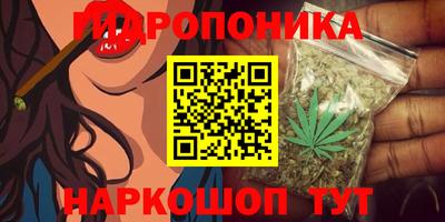 шишки Конаково