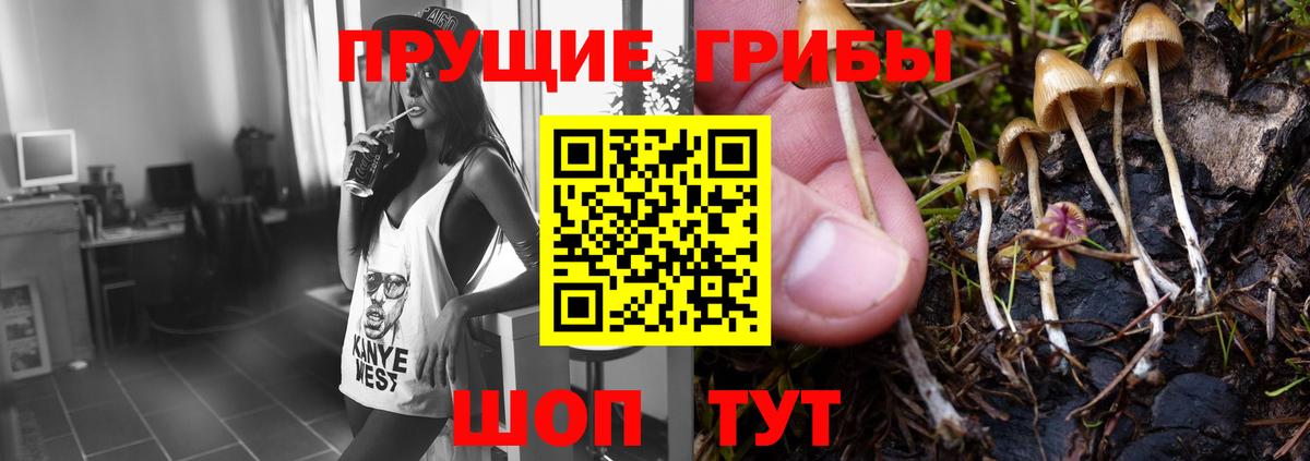 хочу наркоту  Галлюциногенные грибы MAGIC MUSHROOMS  Вход с VPN  Волгодонск 